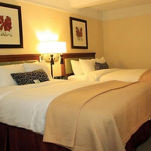 Deluxe Zimmer mit Queensize-Bett